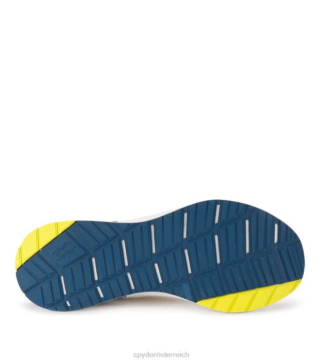 Spyder Männer Gletschergrau Schuhe Tecoma J8DR238