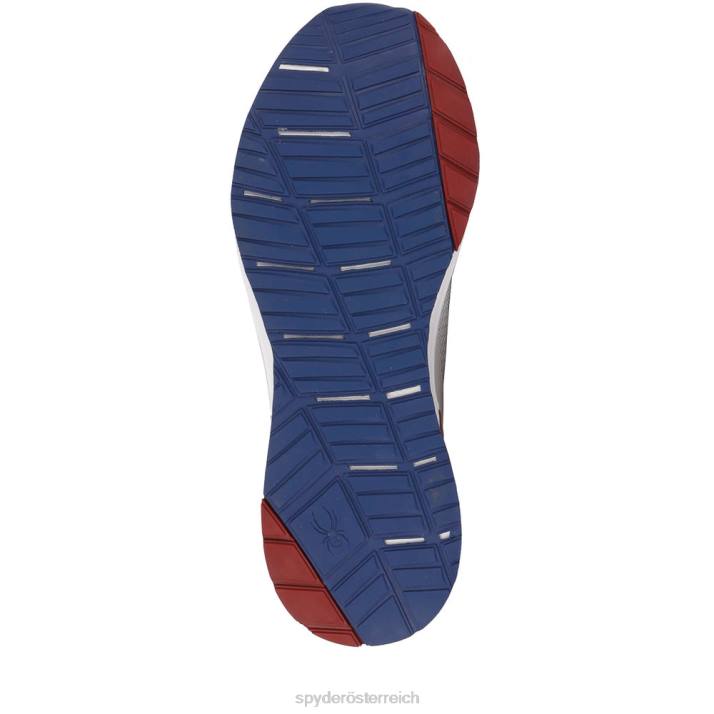 Spyder Männer Gletschergrau Schuhe Tempo J8DR698